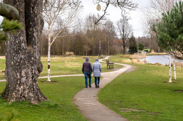 Couple walking at Cusworth Hall gardens
